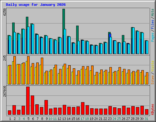 Daily usage for January 2026