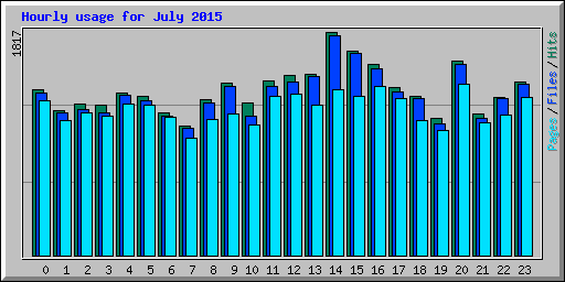 Hourly usage for July 2015