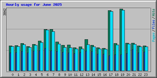 Hourly usage for June 2025
