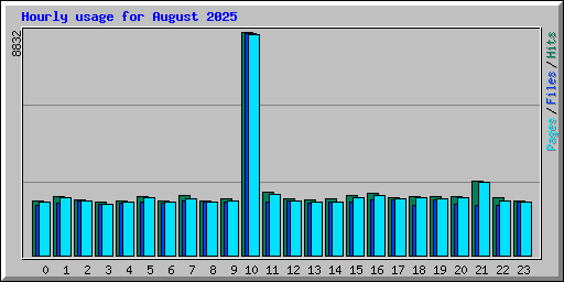Hourly usage for August 2025