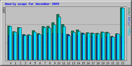 Hourly usage for December 2025